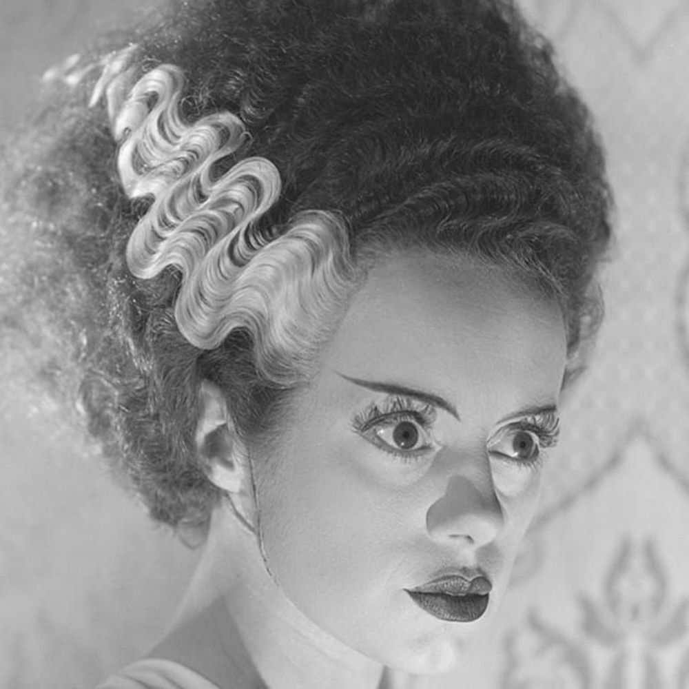 Meet your Posher, Brandy